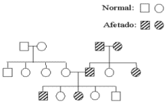 Image145.gif (4398 bytes)